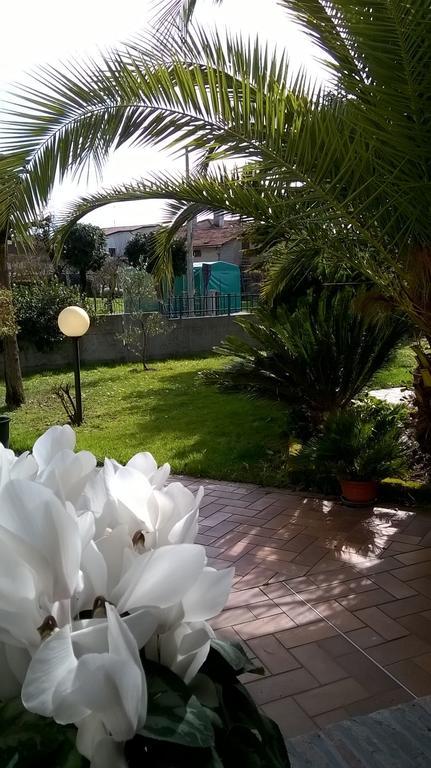 B&B La Cascina Concordia Sagittaria Exteriör bild